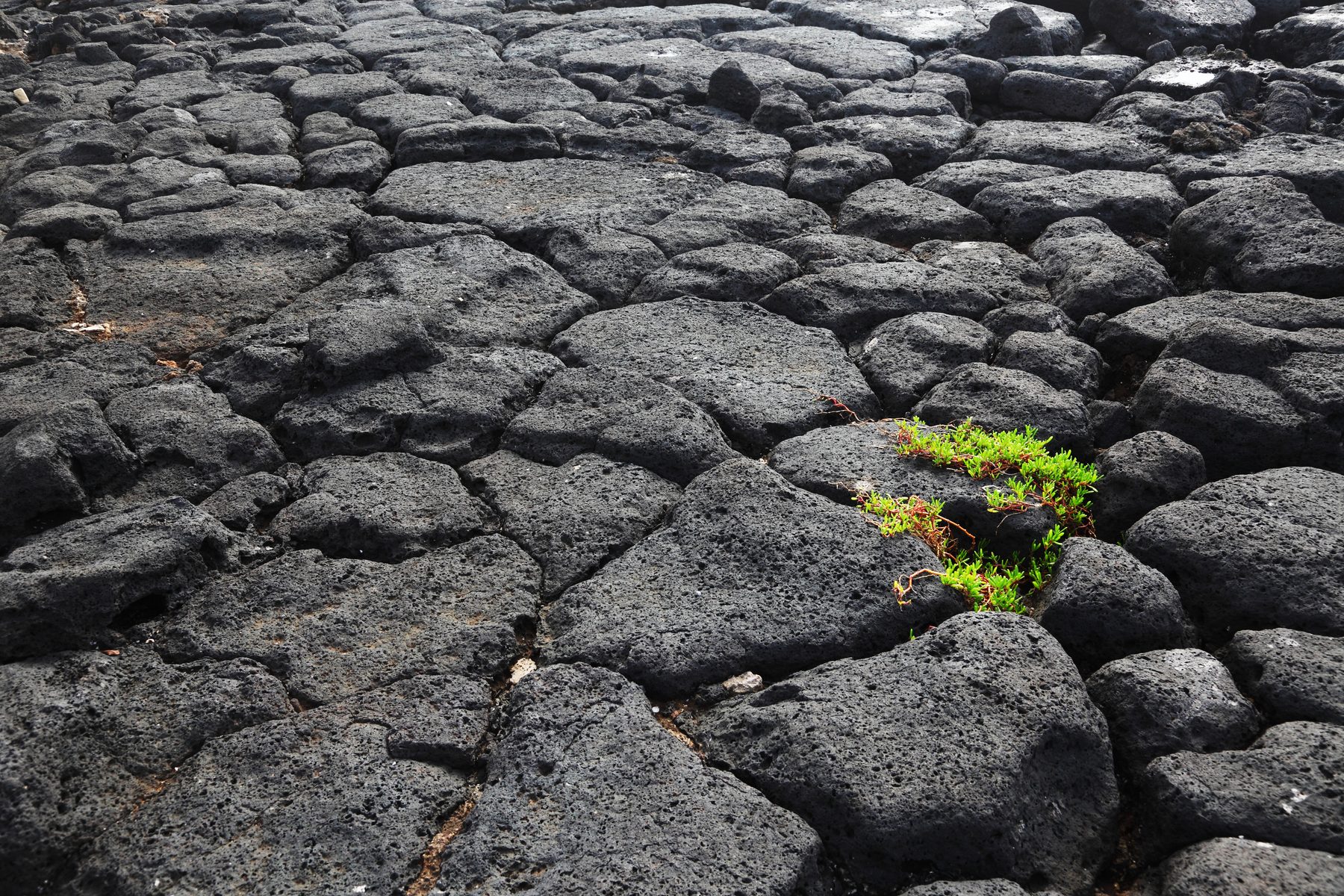 Basalt columns – the volcanic rock ROCKWOOL stone wool is made from (official ROCKWOOL image)