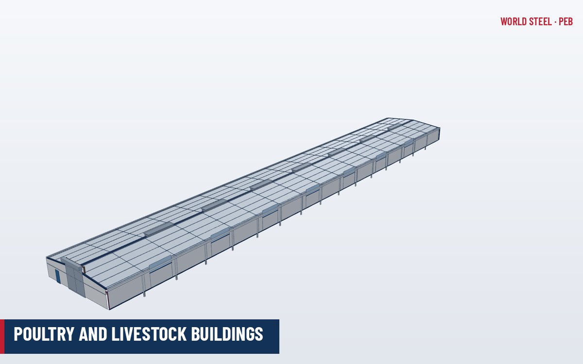 Long, low steel poultry house with insulated roof, side curtains and exhaust fans at the end wall