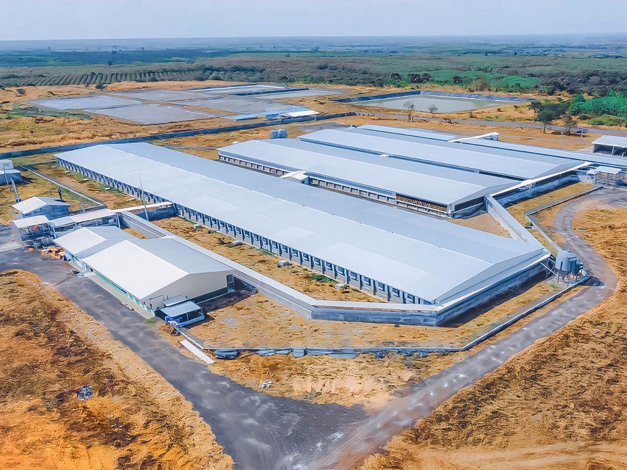 Greenfeed Factory Project – steel structure, Cambodia